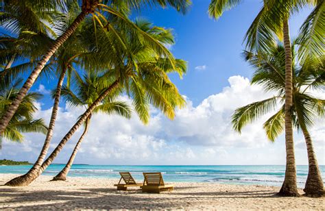 topless brunette|90,000+ Free Topless Beach & Beach Images .